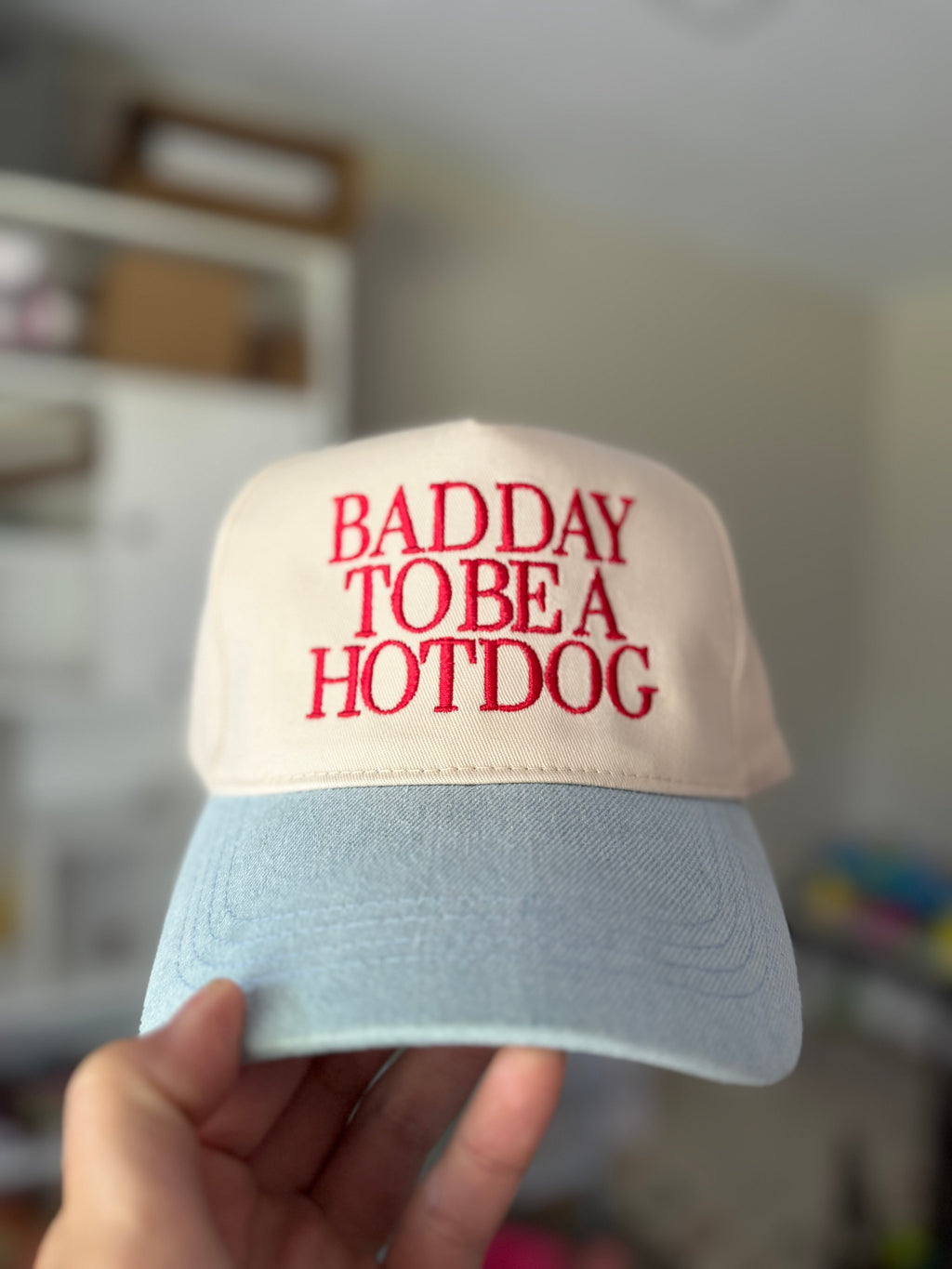 Bad Day to be a Hotdog Hat